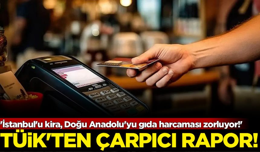 TÜİK'ten çarpıcı tüketim harcaması raporu