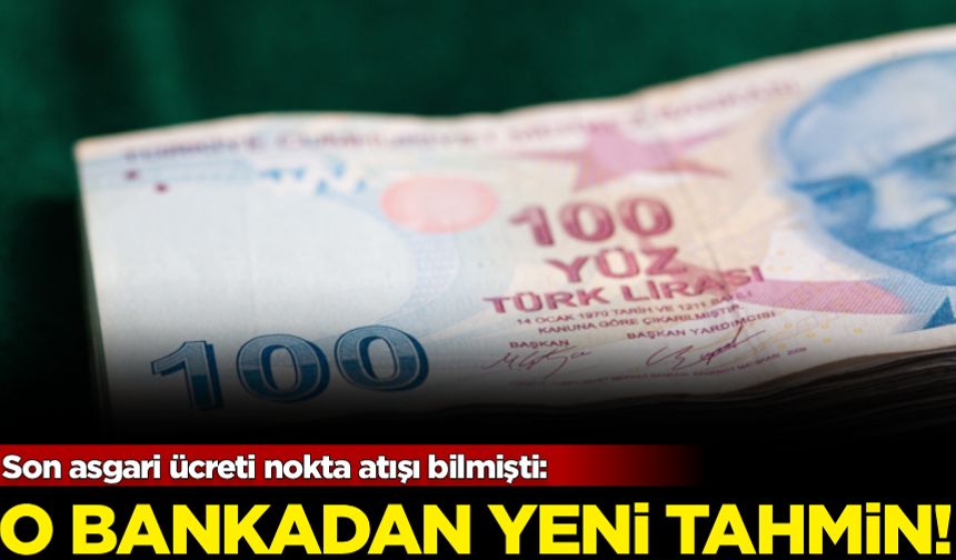 Son asgari ücreti nokta atışı bilmişti: O bankadan yeni tahmin!