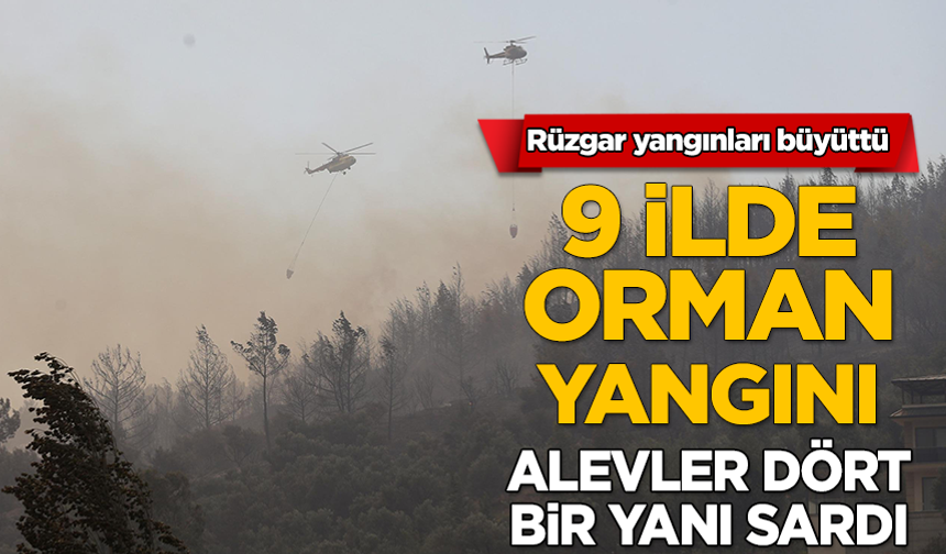 Türkiye’nin dört bir yanında orman yangını: 9 ilde alevlerle mücadele, rüzgar çalışmaları zorlaştırıyor