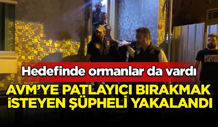 İstanbul'da AVM'ye patlayıcı bırakmak isteyen şüpheli yakalandı! Hedefinde ormanlar da vardı