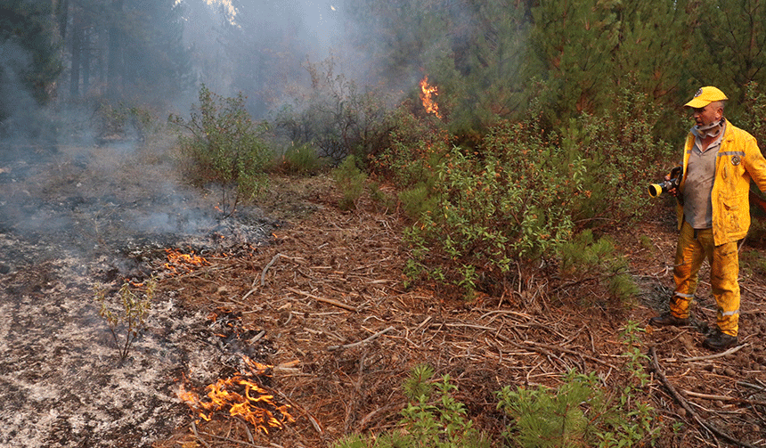 Eskişehir'de anız yangını ormana sıçradı