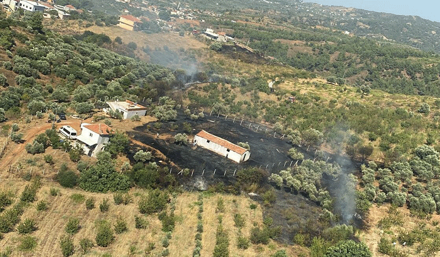 İzmir'de tarım arazisinde yangın