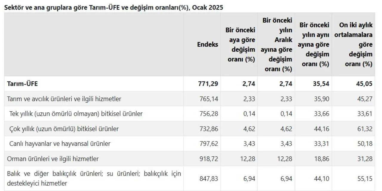 Tuik Enflasyonun Sebebi Uretici Degil Dedi