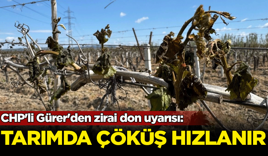 CHP'li Gürer'den zirai don uyarısı: Tarımda çöküş hızlanır