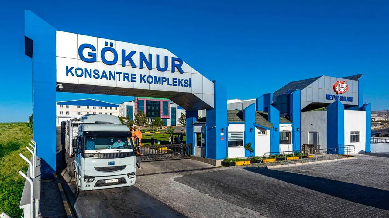 Göknurr